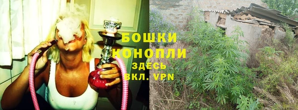 прущие грибы Остров