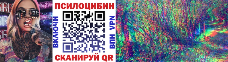 Галлюциногенные грибы Psilocybe  Болотное 